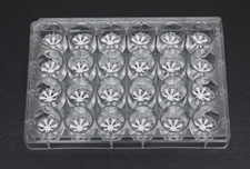 Dried Blood Spot Plate - Size 40
