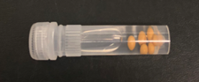 PCR Bead Tubes – 2mL (Used for Mice)