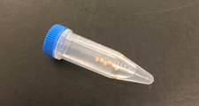 PCR Bead Tubes – 5mL (Used for Rats)